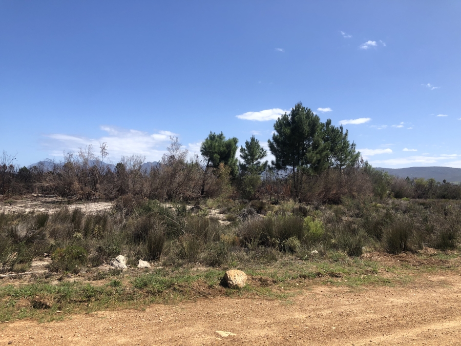 0 Bedroom Property for Sale in Fisherhaven Western Cape